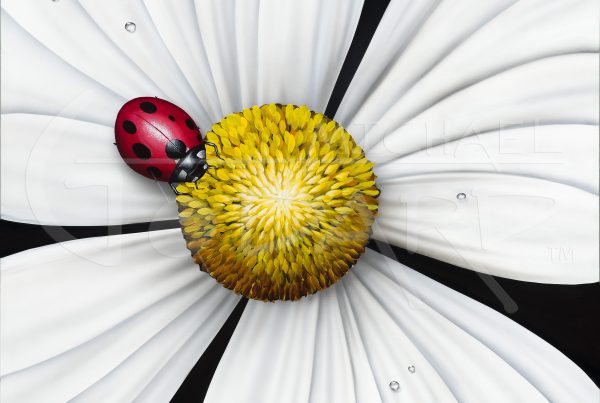 white flower lady bug